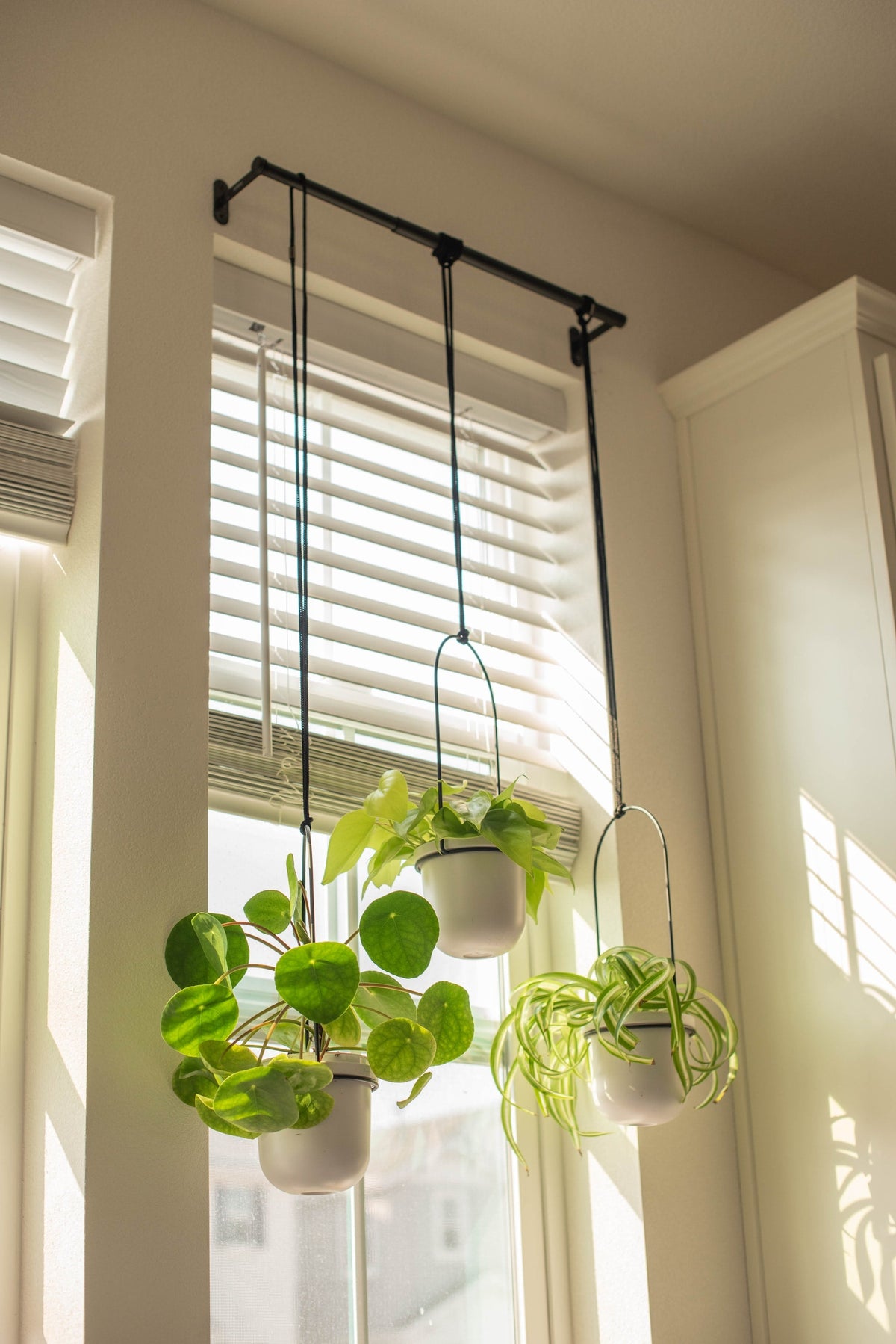 How to Decorate a Kitchen Windowsill: 11 Inspiring Ideas