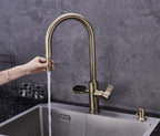 Hanström 4-in-1 Nexa Digital Pullout - Antique Brass