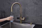 Hanström 4-in-1 Nexa Digital Pullout - Antique Brass