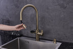 Hanström 4-in-1 Nexa Digital Pullout - Antique Brass