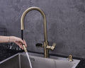 Hanström 4-in-1 Nexa Digital Pullout - Antique Brass