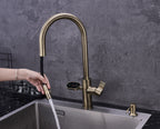 Hanström 4-in-1 Nexa Digital Pullout - Antique Brass
